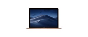 2018 A1534 - 12" MacBook Gold